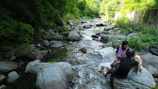 EBS1TV 한국기행  '물 만난 여름 - 1부. 비밀의 계곡'  -07월 02일 밤 21시 30분